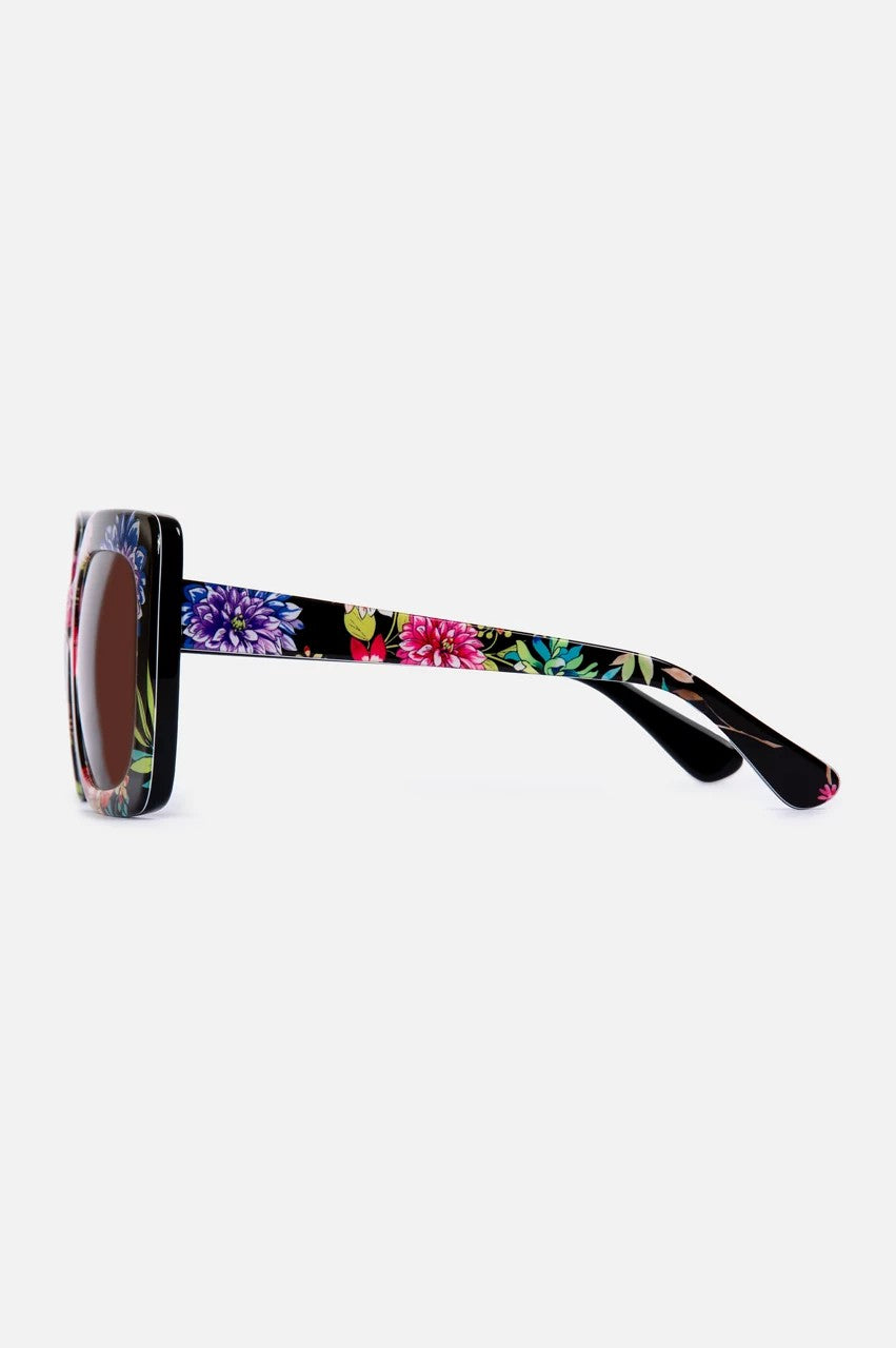 Johnny Was Women Sutton Sunglasses Printed