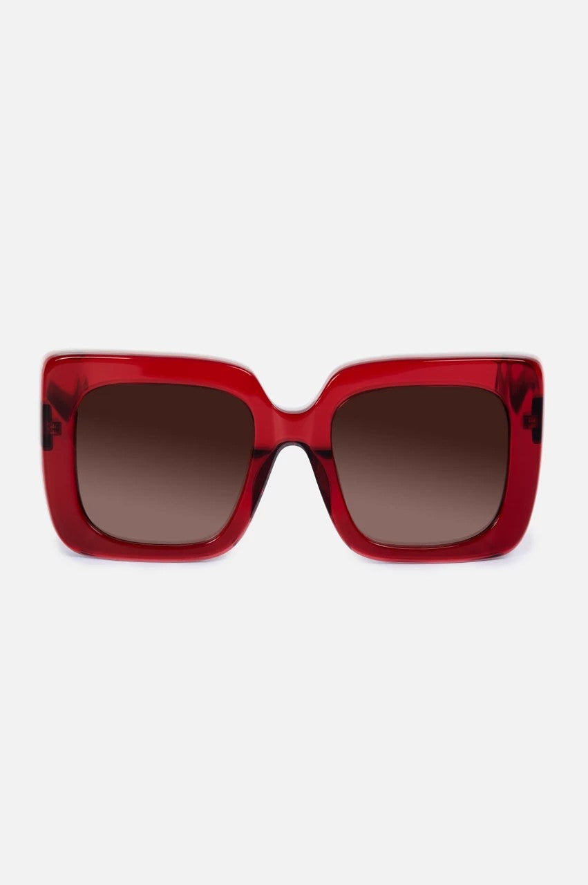 Johnny Was Women Sutton Sunglasses Solid