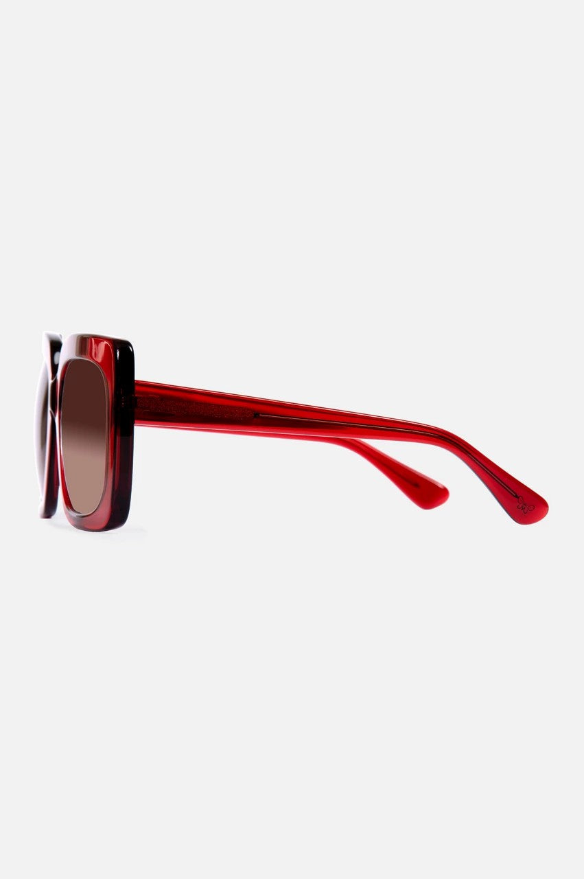 Johnny Was Women Sutton Sunglasses Solid