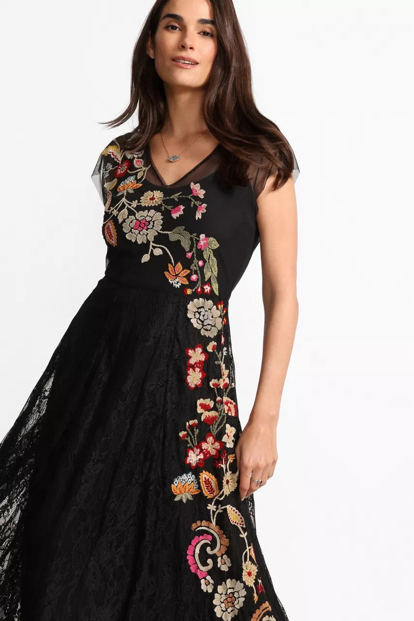 Johnny Was Women MERTINA EMBROIDERED MESH DRESS