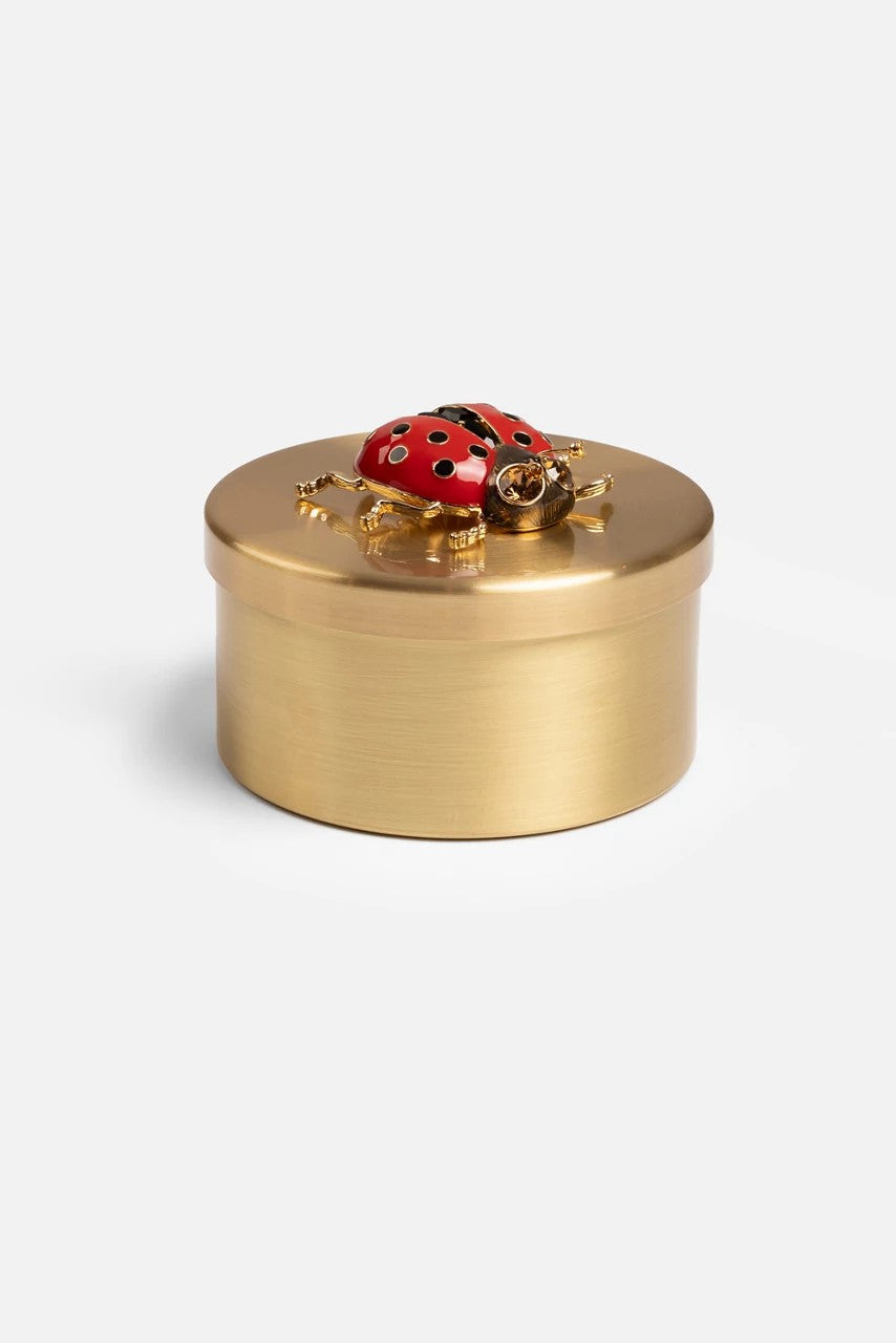 Johnny Was Women LADYBUG TRINKET BOX
