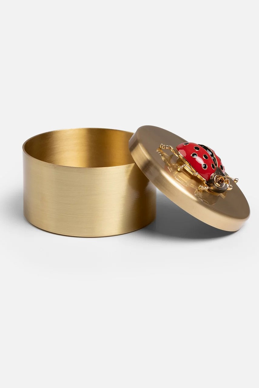 Johnny Was Women LADYBUG TRINKET BOX