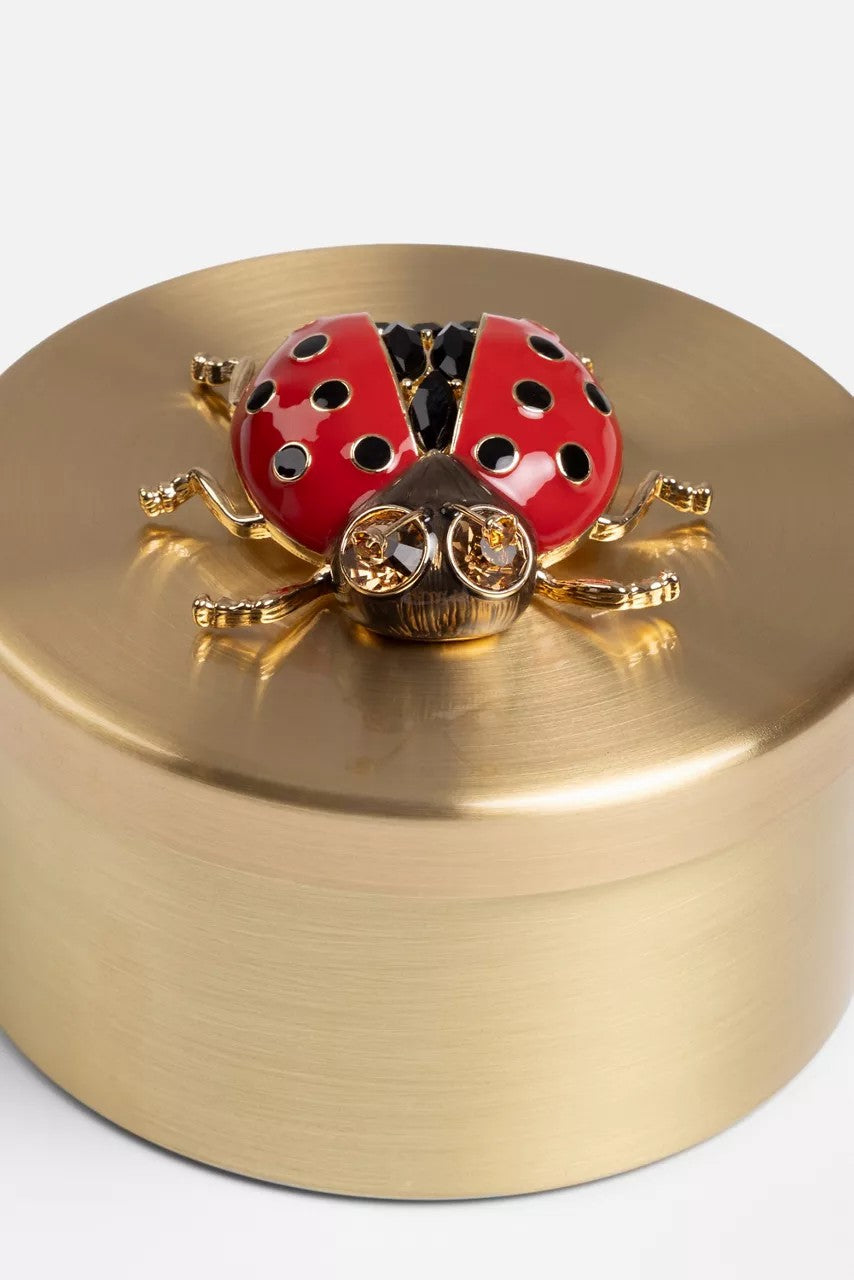 Johnny Was Women LADYBUG TRINKET BOX