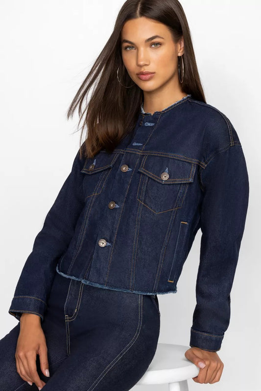 Johnny Was Women JARDIN AMOUR DENIM JACKET